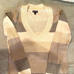 Express V-neck sweater